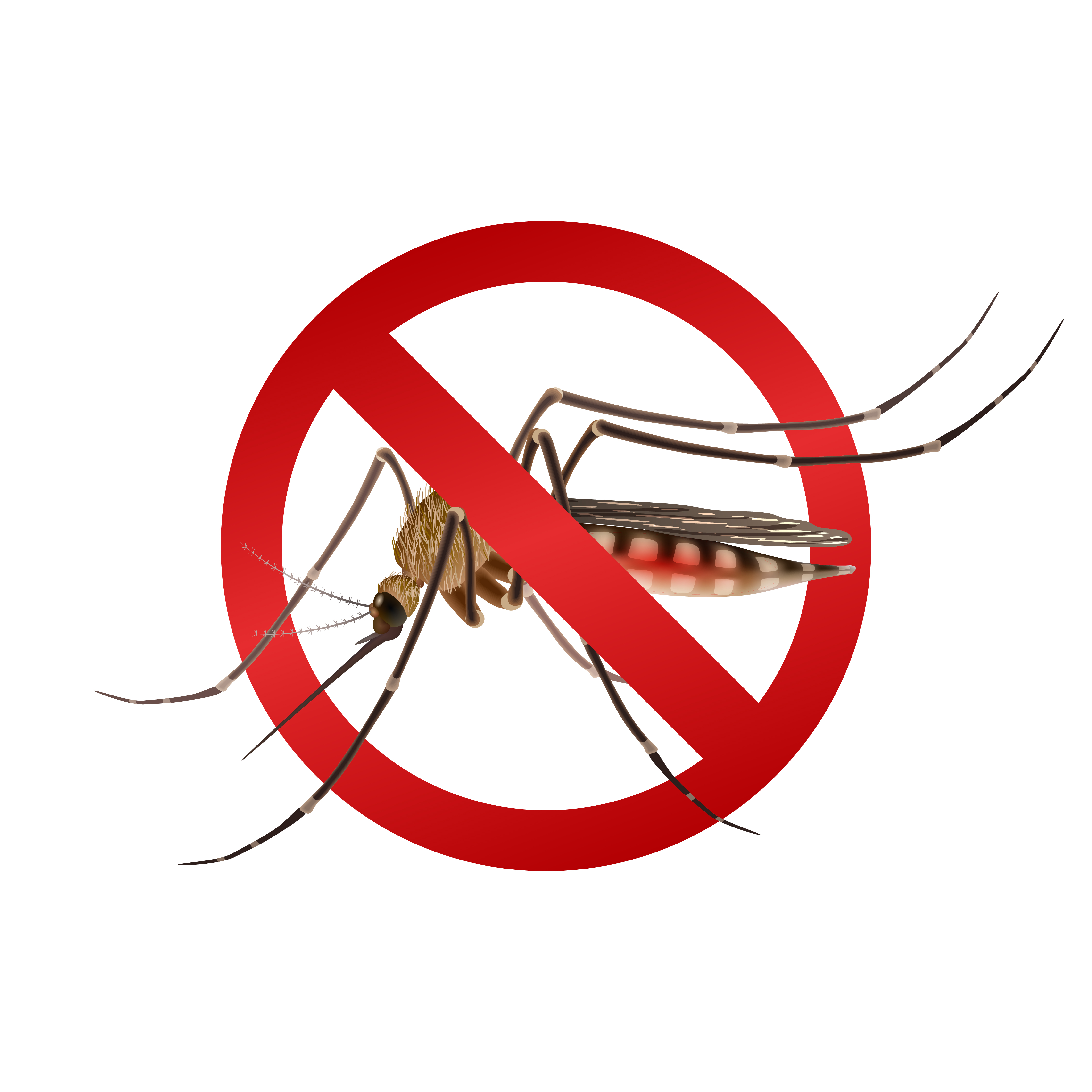 Disinfestazione adulticida