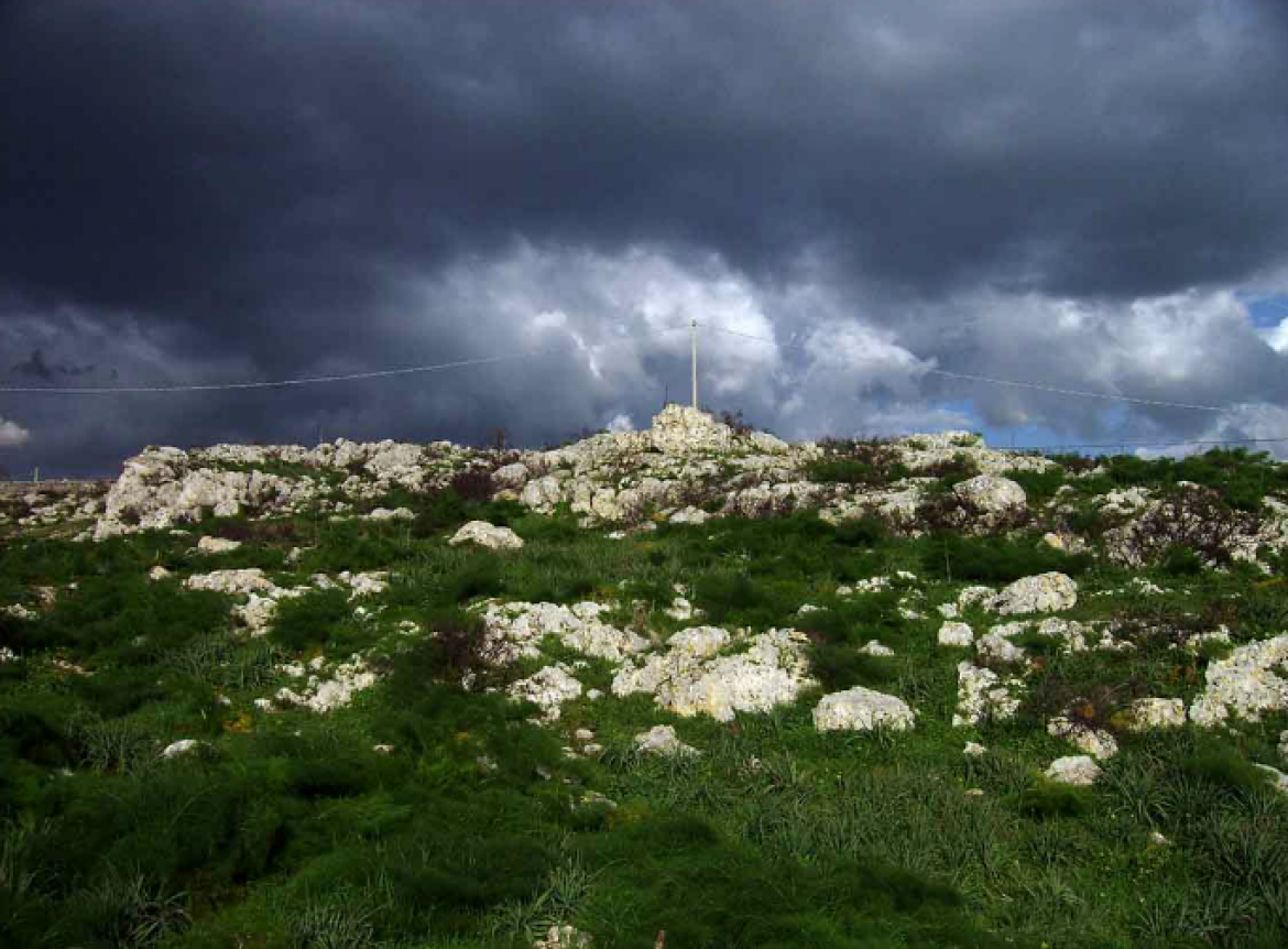 murgia